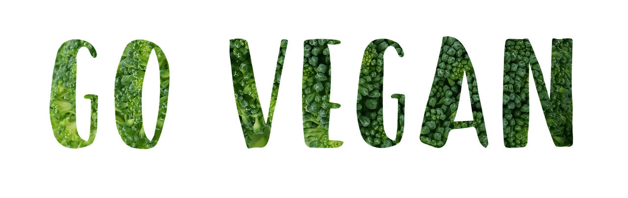 vegan slogan motivational go vegan 1433237